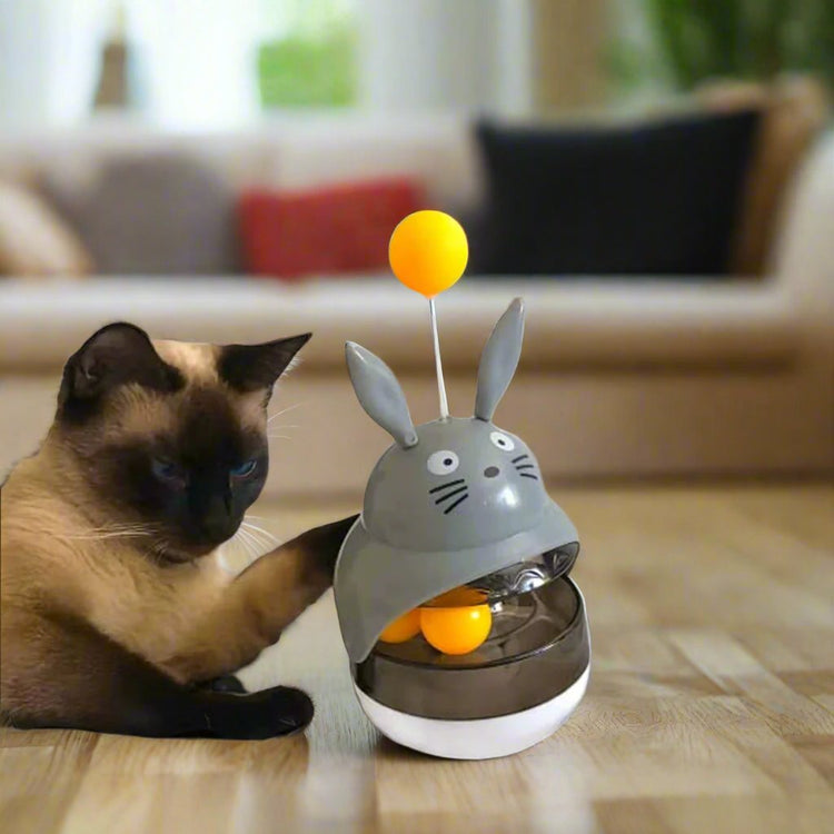 Cat Play and Enrichment products