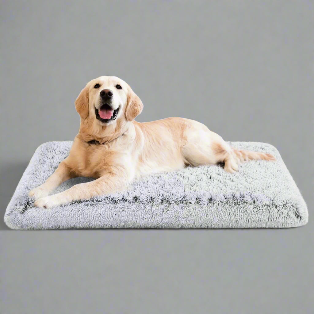 Dog Bed for Large Dogs, Washable Egg Crate Memory Foam Orthopedic Cozy Soft Long Plush Calming Pet Bed for Large Medium Size Dogs Crate, 36"X28", Gray