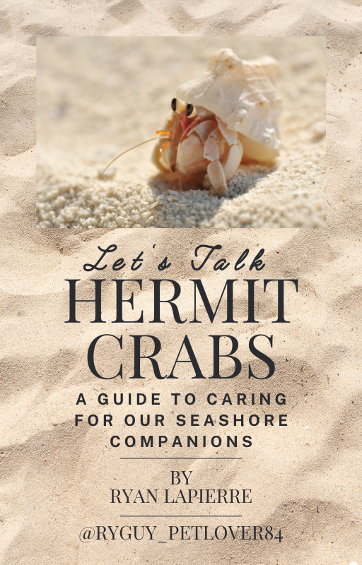 Book cover of 'Let's Talk Hermit Crabs' on sand with a hermit crab illustration.