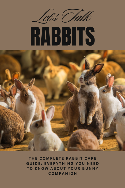 Book cover with rabbits and text 'Let's Talk Rabbits' on a brown background