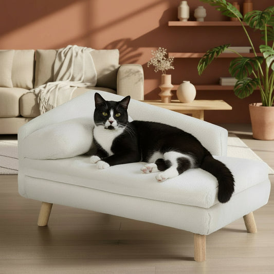 Luxury Elevated Dog Sofa Bed with Backrest Plush Cushion Wooden Legs Raised Dog Bed Lounger Chair for Small Medium Dog Cat Chair