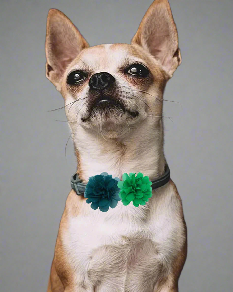 30Pcs/Pack 2.8" Plain Pet Puppies Collar Embellishment Flowers Bows Attachment Small Medium Large Dogs Cats Collar Charms Accessories Slides