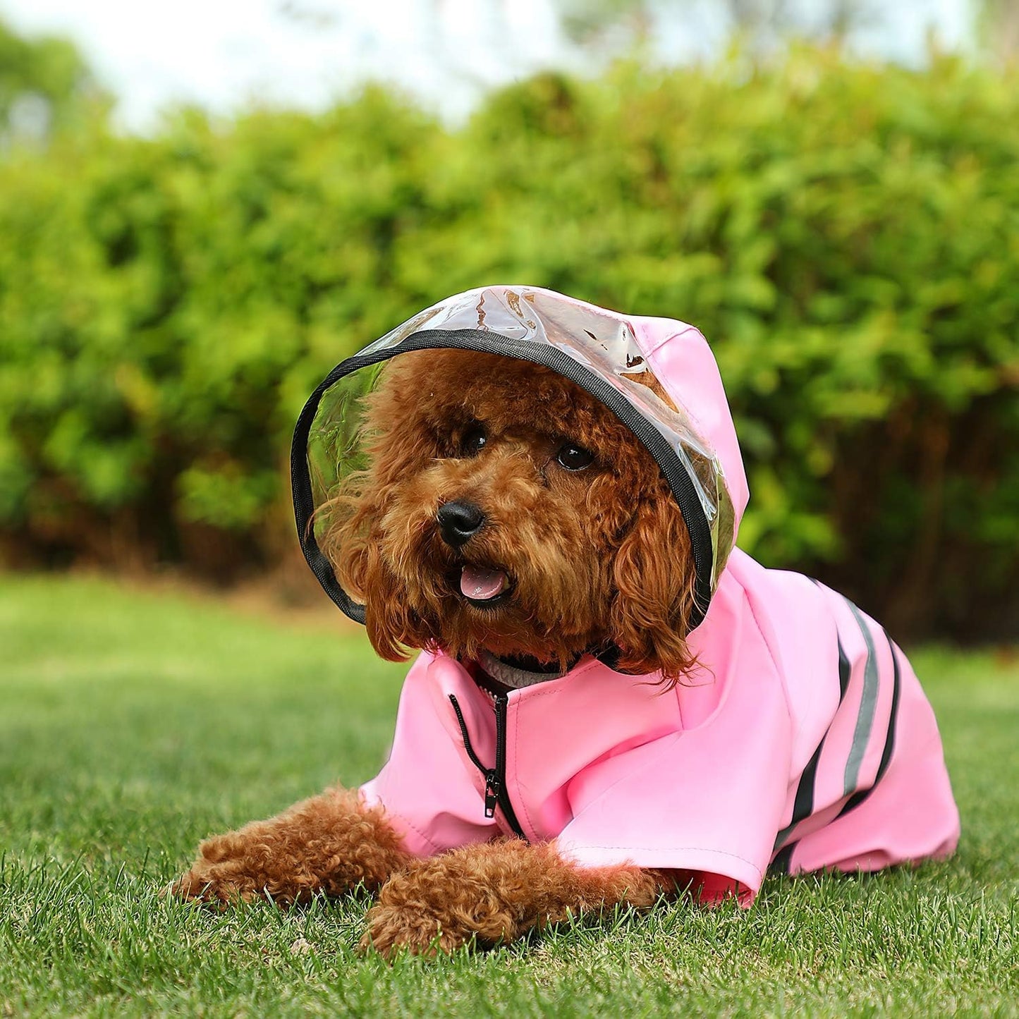 Reflective Dog Raincoat Dog Rain Jacket with Hood Lightweight Waterproof Rain Coat for Puppies (Pink M)