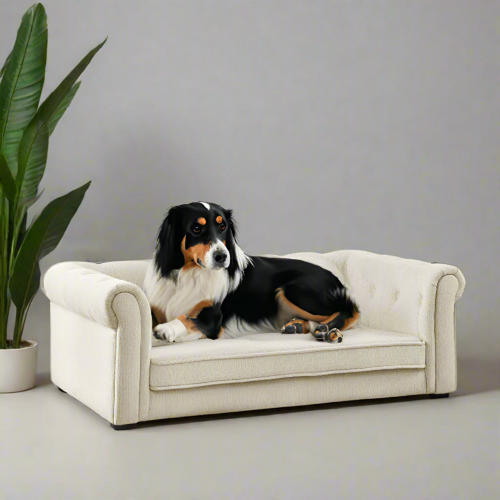 Elegant Rectangular Pet Bed for Medium and Large Dogs