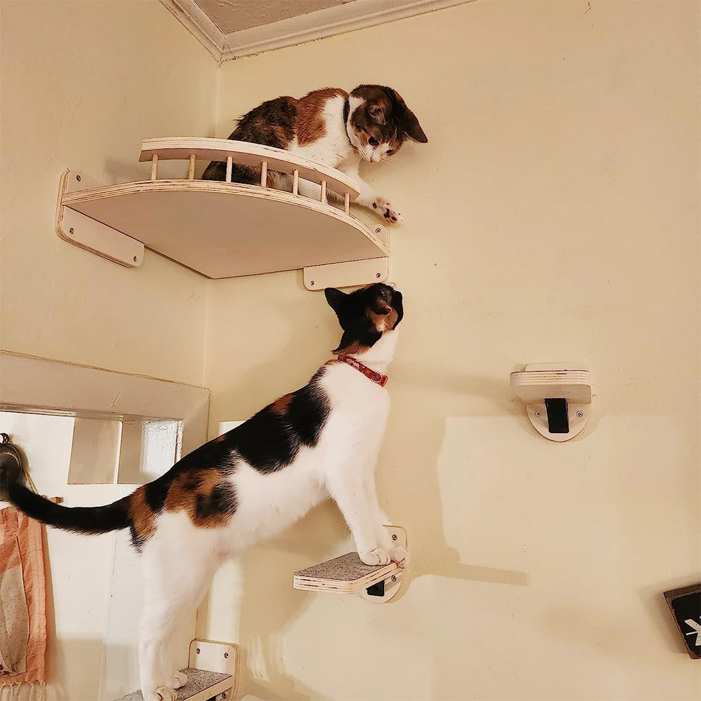DIY Wall Mounted Cat Tree Pieces