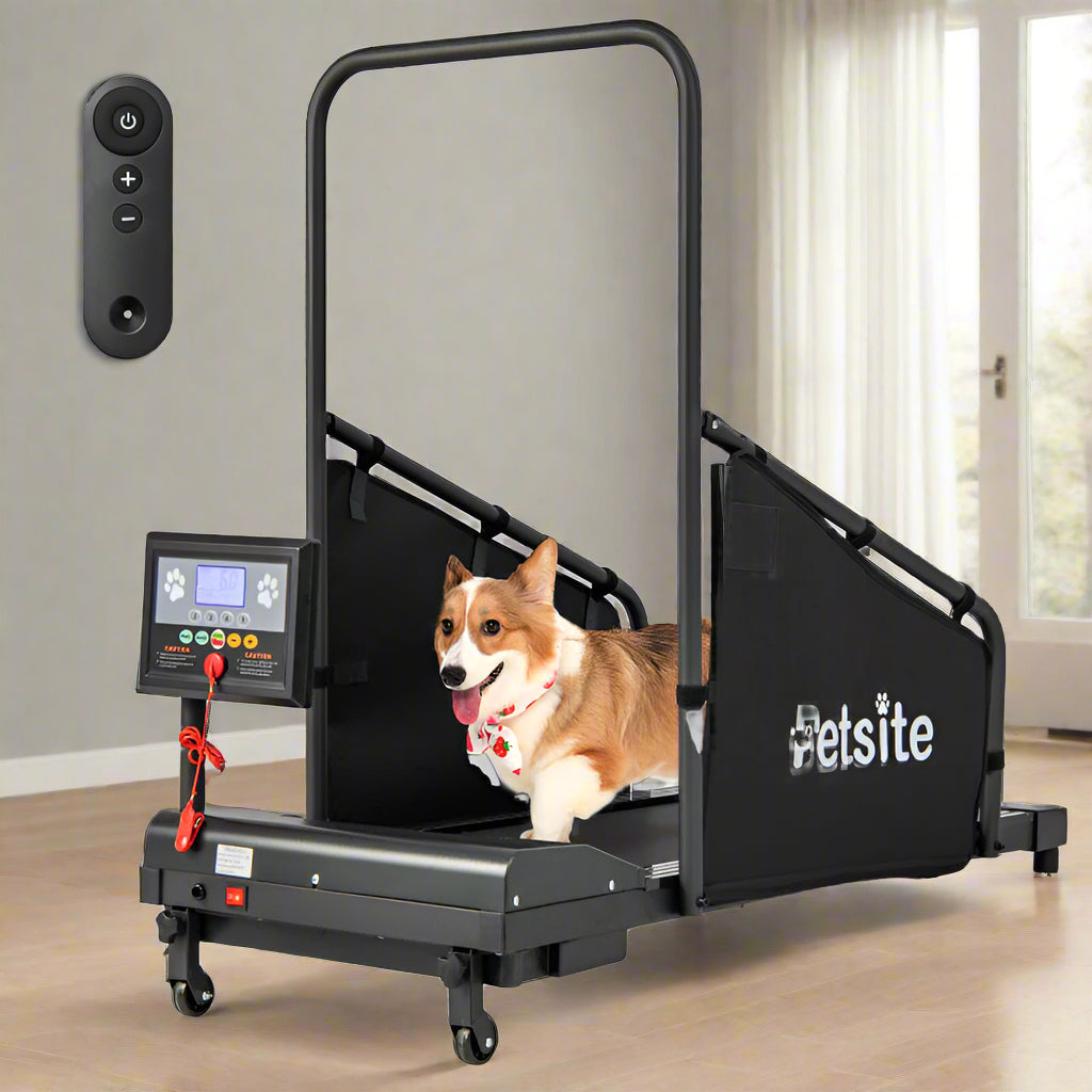 Indoor Pet Exercise Equipment with Remote Control