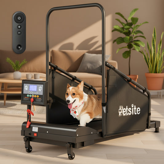 Indoor Pet Exercise Equipment with Remote Control