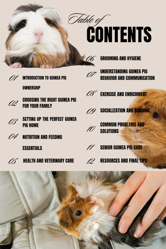 Let's Talk Guinea Pigs: The Complete Guinea Pig Care Guide (PDF)