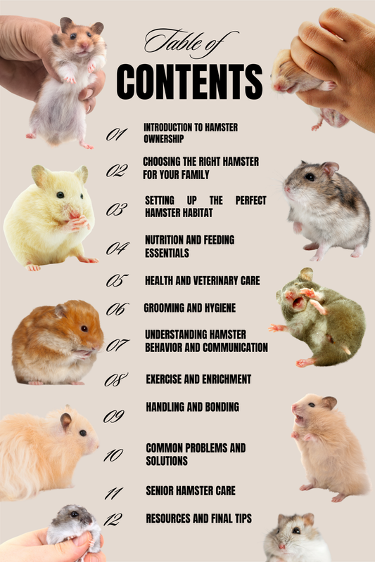 Let's Talk Hamsters: The Complete Hamster Care Guide (PDF)