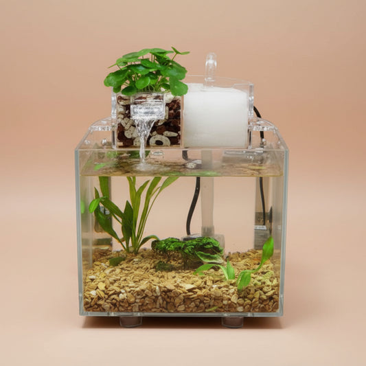 Clear fish tank with plants on a wooden surface, surrounded by potted plants in a room setting.