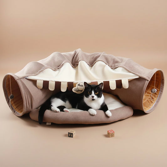 Cat lying inside a tunnel-shaped pet bed on a beige background