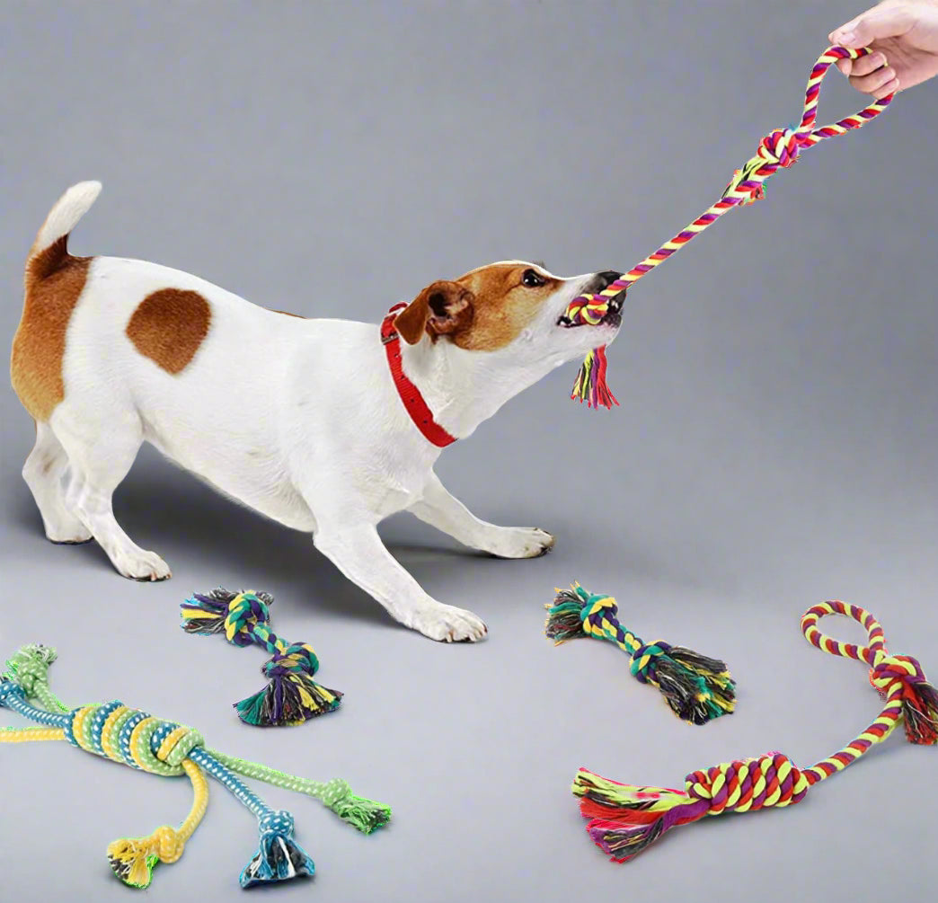 Dog Squeaky Toys for Small Dogs, 12 Pack Puppy Toys for Teething Cute Small Dog Toys Stuffed Plush Dog Toy Bundle Natural Cotton Puppy Rope Toy Dog Chew Toys for Puppies Pet Toys for Dogs