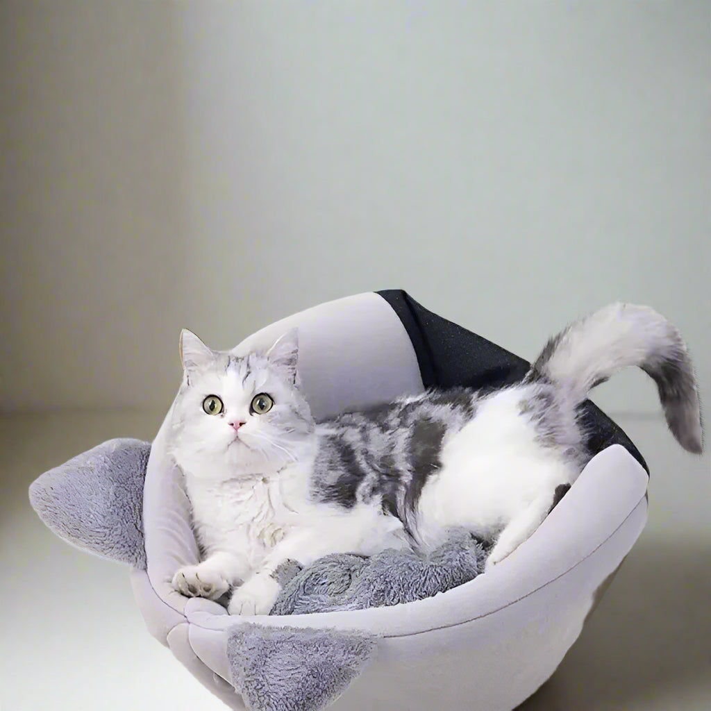 Cat Head Shaped Cave Bed