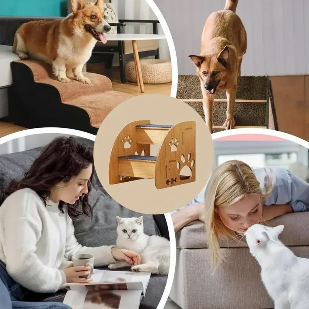 Collage of dogs and cats interacting with a wooden pet shelf in a home setting.