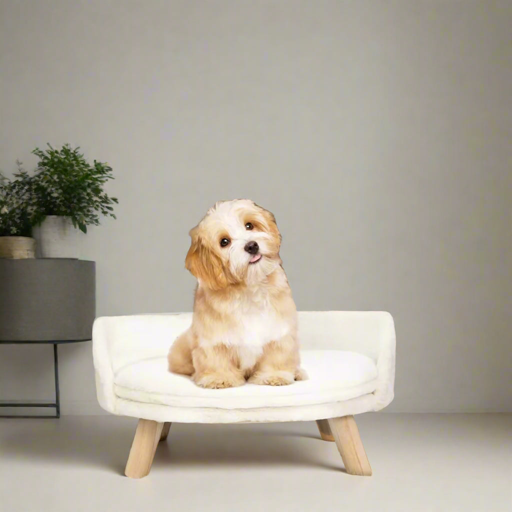 Luxury Cat Bed Soft Warm Plush Fabric Pet Nesting Chair Bed Stool Wood Legs with Cushion Pad Washable Waterproof for Small Pets