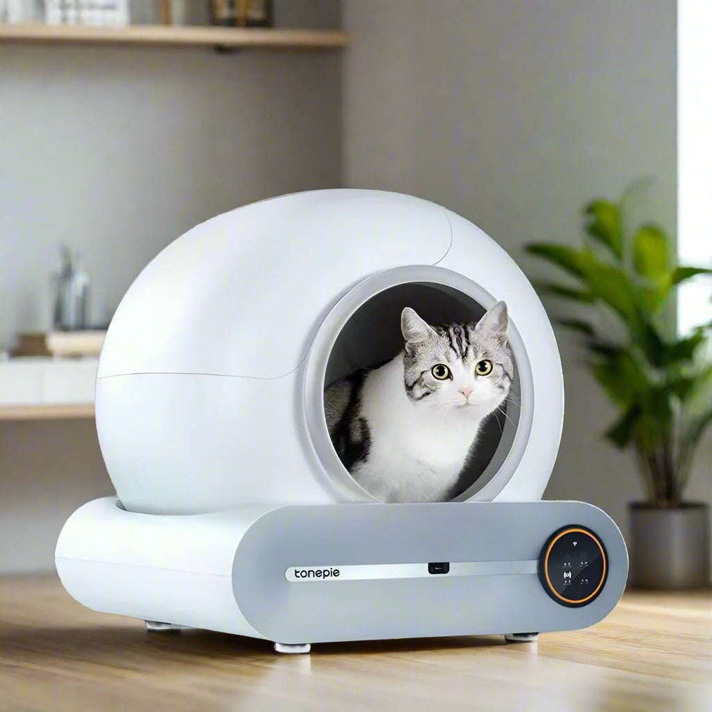 Self Cleaning Cat Litter Box, Ultra-Safe Protection Automatic Cat Litter Box, APP Control/Lower Entry/Large Capacity