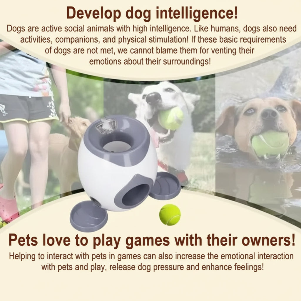 Automatic Ball Launcher for Dog Toy, Interactive Tennis Ball Launcher Machine for Medium Dogs, Interactive Training Smart Feeder