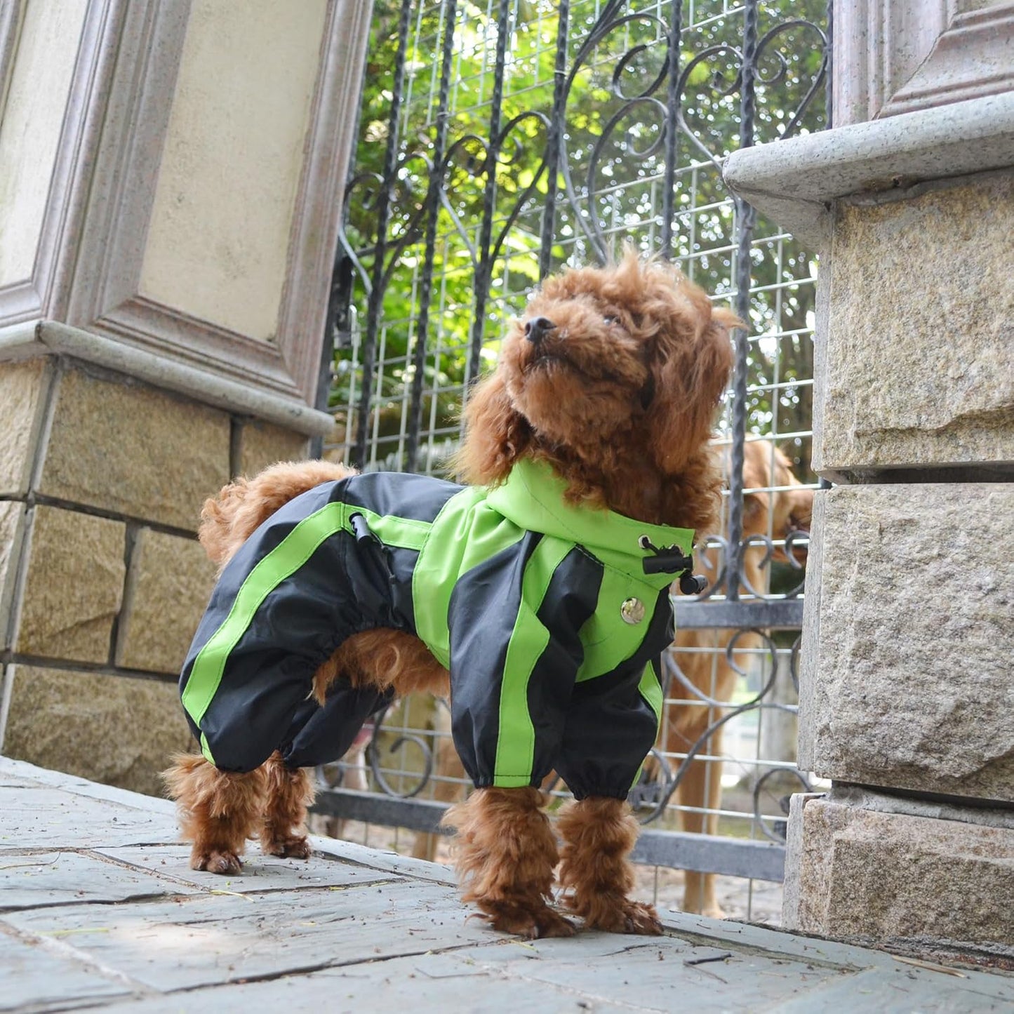 Pet Apparel Large Dog Clothing Raincoat Pet Clothes Rain Coat for Big Large Dogs Red Green Waterproof (L-M, Green)