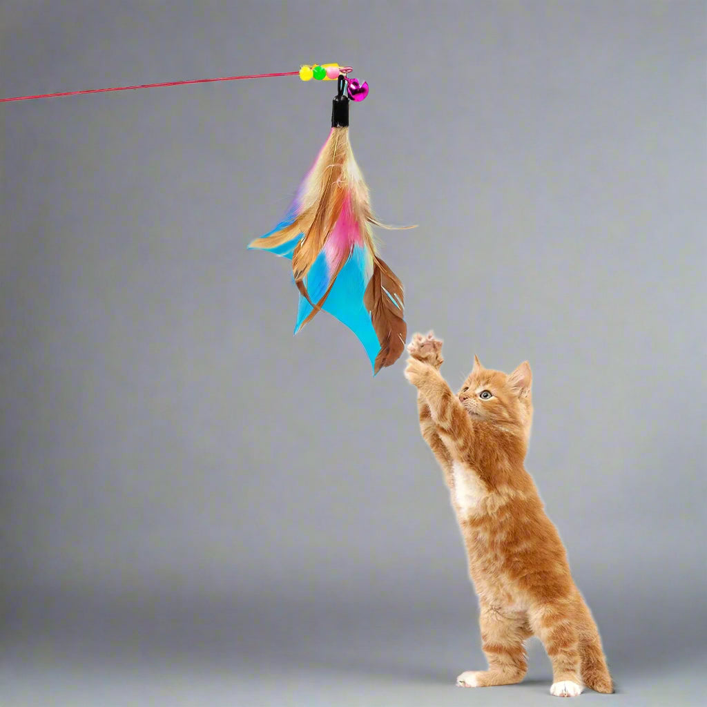 21PCS Cat Toys Kitten Toy Set Folding Camouflage Cat Tunnel Indoor Interactive Pet Toys Teaser Cat Feather Toy Colourful Mouse Plush Ball Bell Ball Toy Kit Kitten Puppy