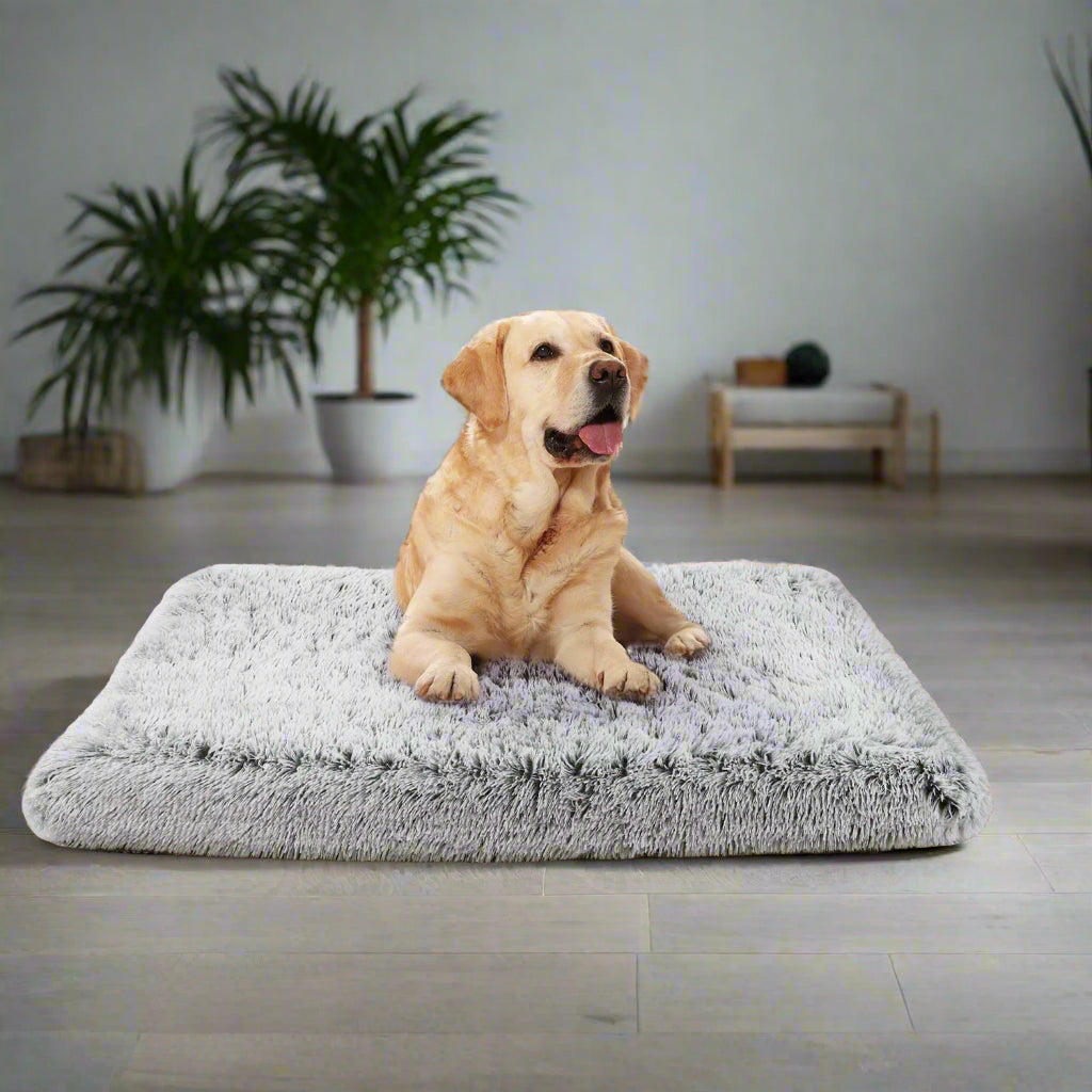Dog Bed for Large Dogs, Washable Egg Crate Memory Foam Orthopedic Cozy Soft Long Plush Calming Pet Bed for Large Medium Size Dogs Crate, 36"X28", Gray