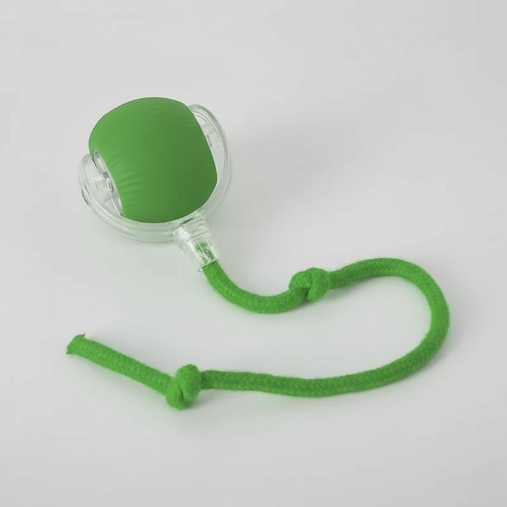 Rechargeable Smart Pet Interactive Automatic Rolling Ball Toy Cats Pet Products New Electric Dog Ball Toy Simulated Tail for Cat