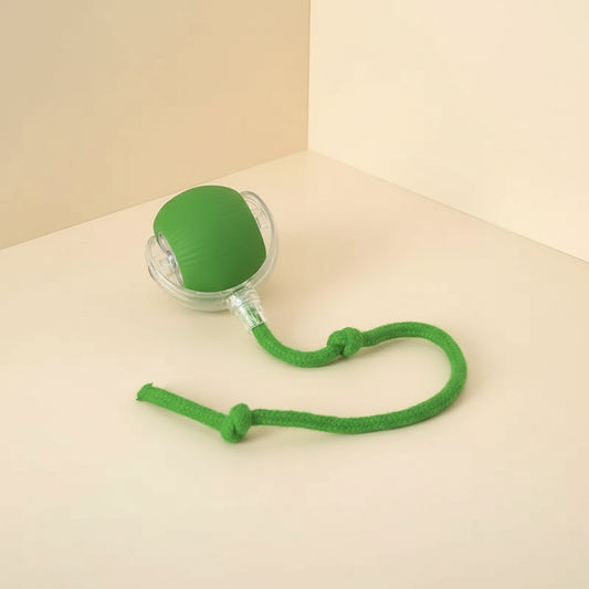 Rechargeable Smart Pet Interactive Automatic Rolling Ball Toy Cats Pet Products New Electric Dog Ball Toy Simulated Tail for Cat