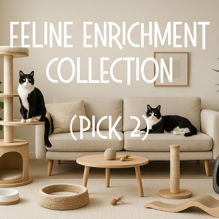 Feline Enrichment Collection (1 Cat Tree + 1 Toy)