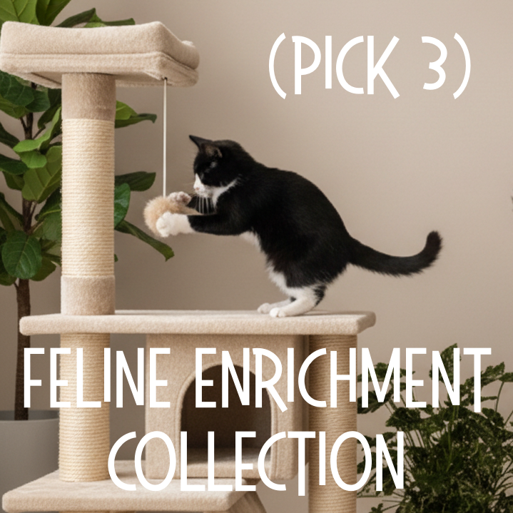 Feline Enrichment Collection (1 Cat Tree + 2 Toys)