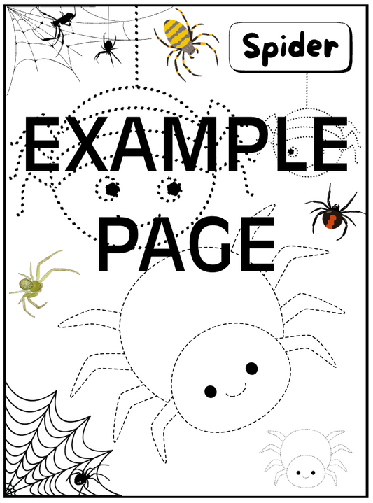 Animal Tracing Activity Book