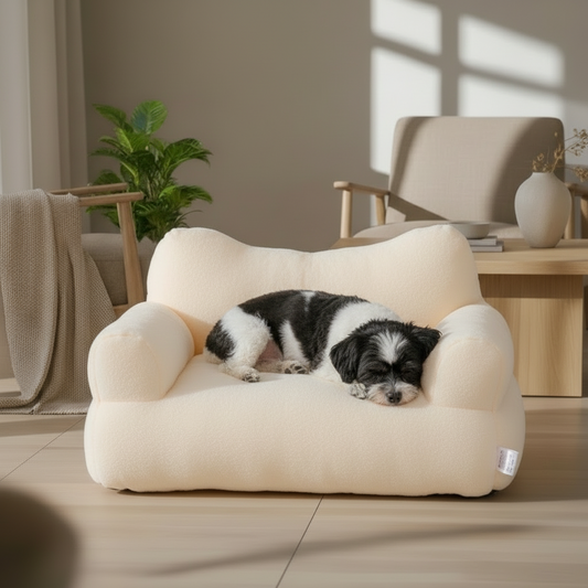 White pet sofa on a carpeted floor with a lamp and decorative items in the background