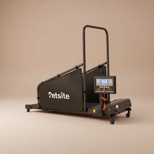 Indoor Pet Exercise Equipment with Remote Control