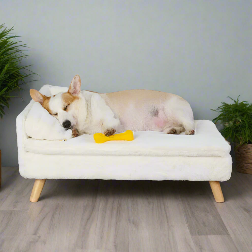 Luxury Elevated Dog Sofa Bed with Backrest Plush Cushion Wooden Legs Raised Dog Bed Lounger Chair for Small Medium Dog Cat Chair