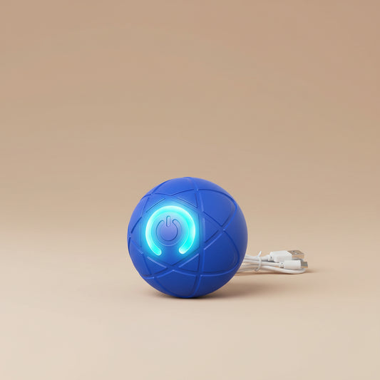 Blue electronic dog toy with power symbol and dog playing with it on a white background