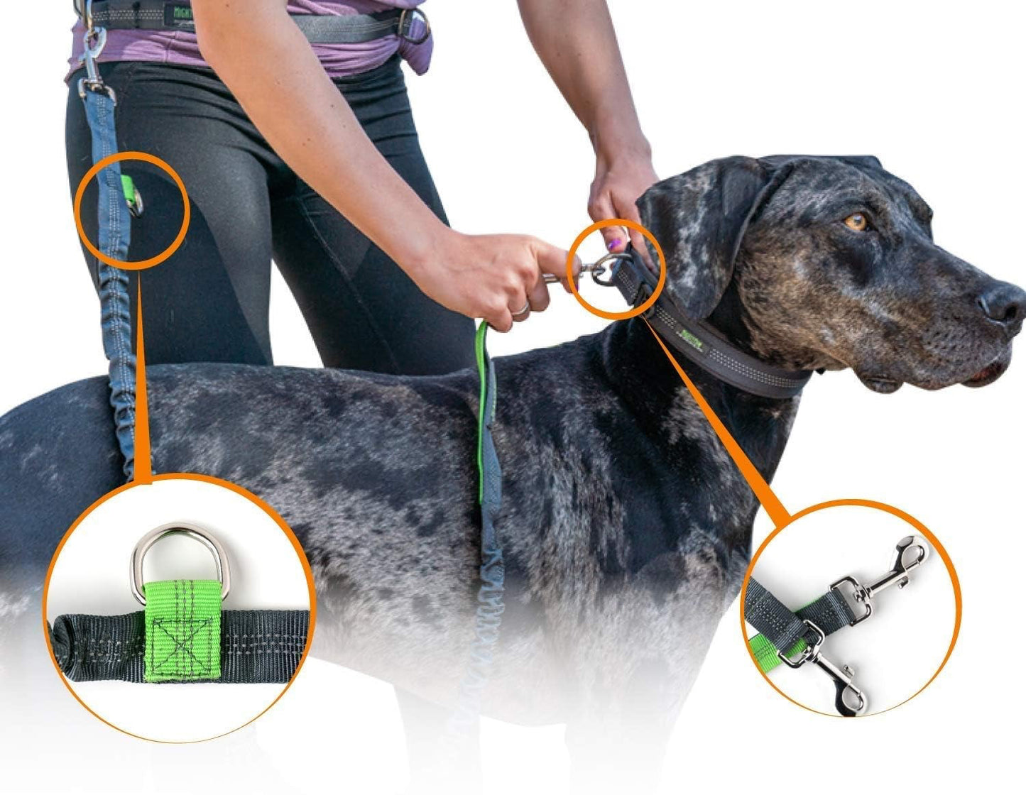Hands Free Dog Leash | Bungee Waist Leash for Dog Walking. Pet Running Hands Free Tether for Large, Medium & Small Breeds. Pet Waist Belt (36" - 48") up to 150 Lbs - Gray