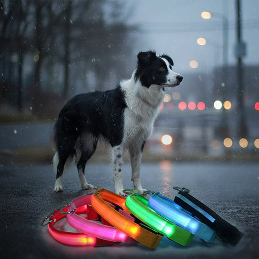 LED Adjustable Dog Collar Blinking Flashing Light up Glow Pets Safety Waterproof