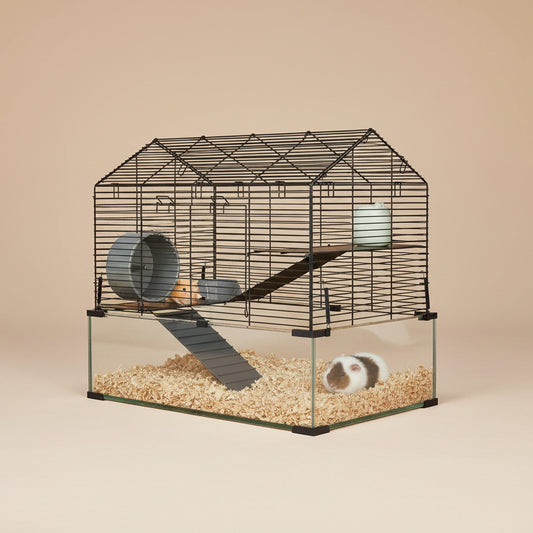 Pet cage with a hamster inside on a beige background