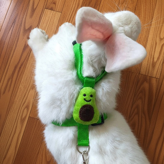 Cartoon Rabbit Harness and Leash Set Walking Adjustable Pet Harnesses for Small Animals Bunny Guinea Pig Mascotas Accessories