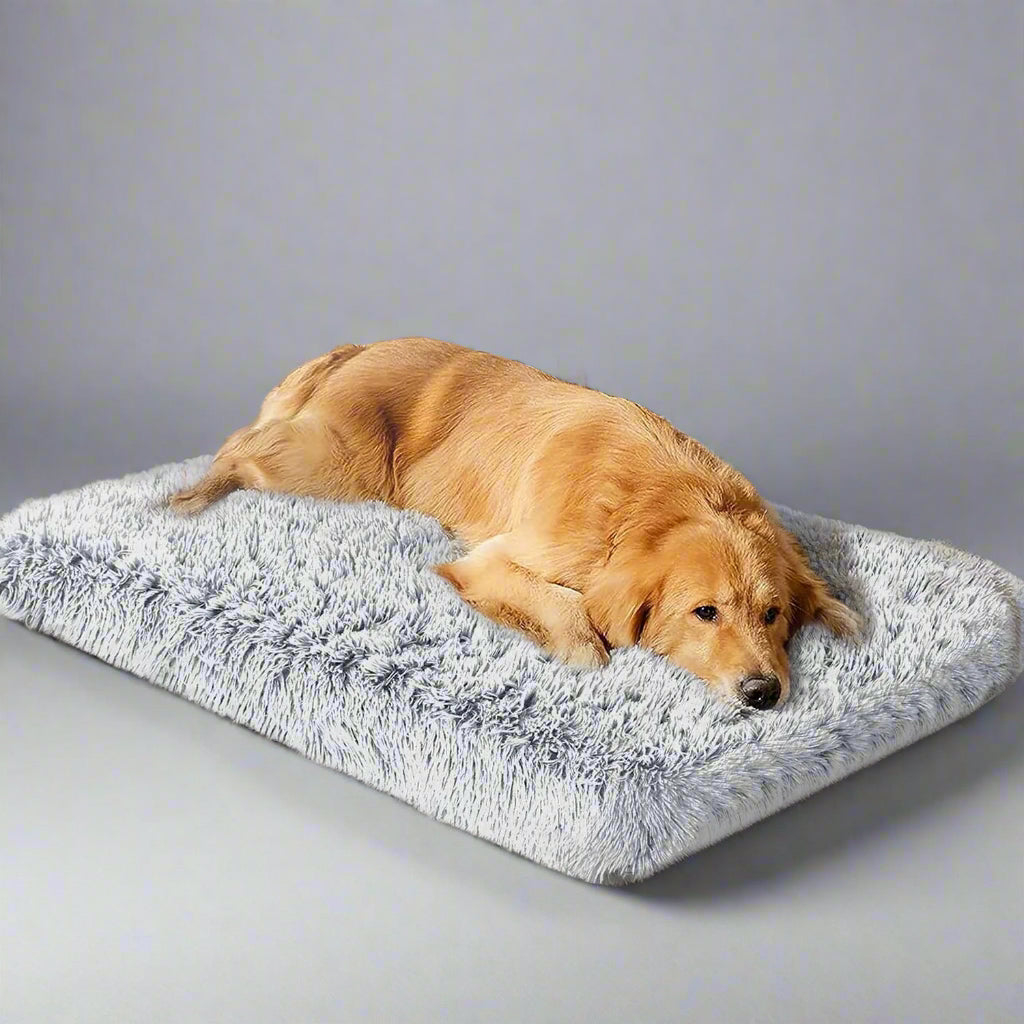 Dog Bed for Large Dogs, Washable Egg Crate Memory Foam Orthopedic Cozy Soft Long Plush Calming Pet Bed for Large Medium Size Dogs Crate, 36"X28", Gray