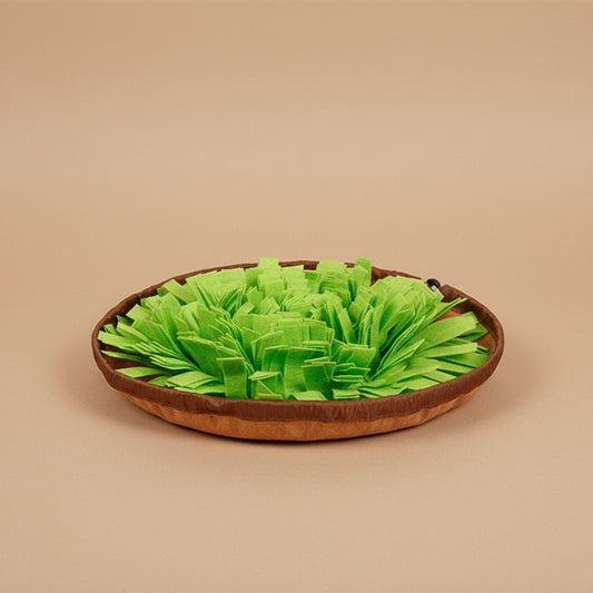 Green pet toy with brown base on a white background