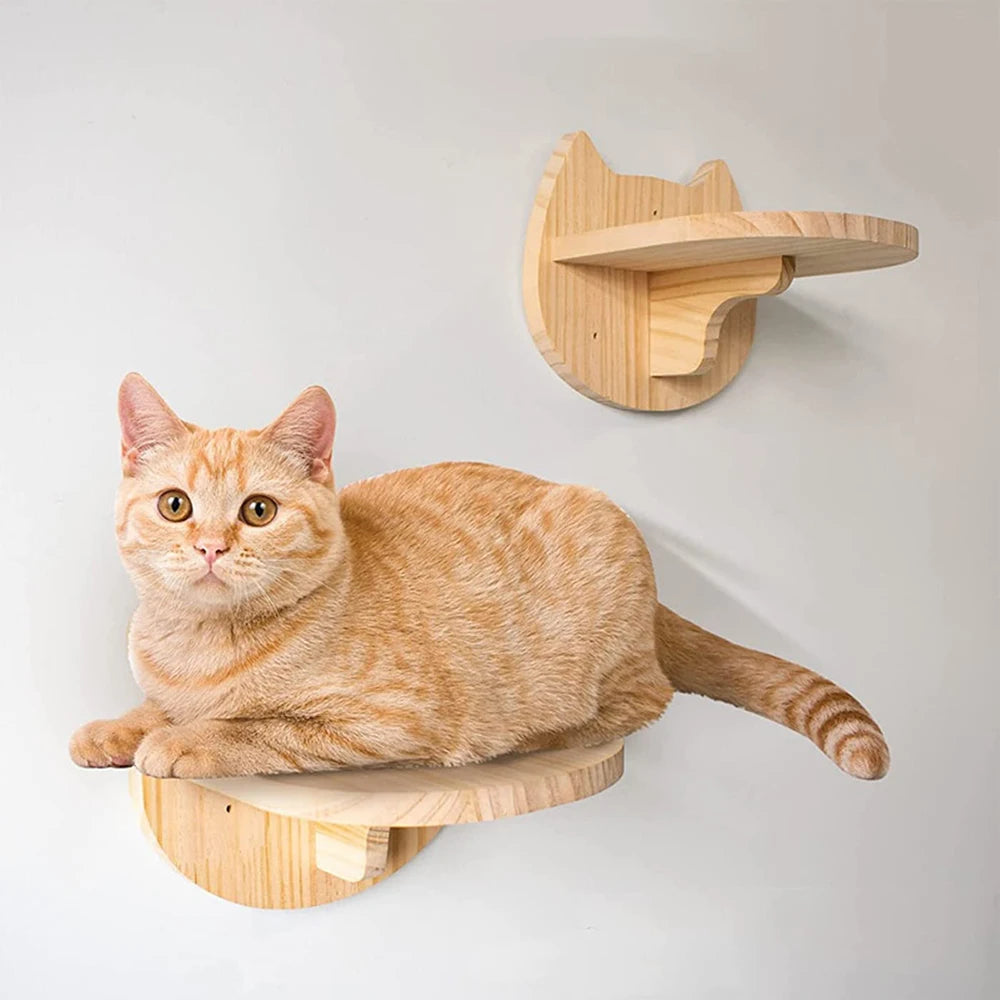 DIY Wall Mounted Cat Tree Pieces