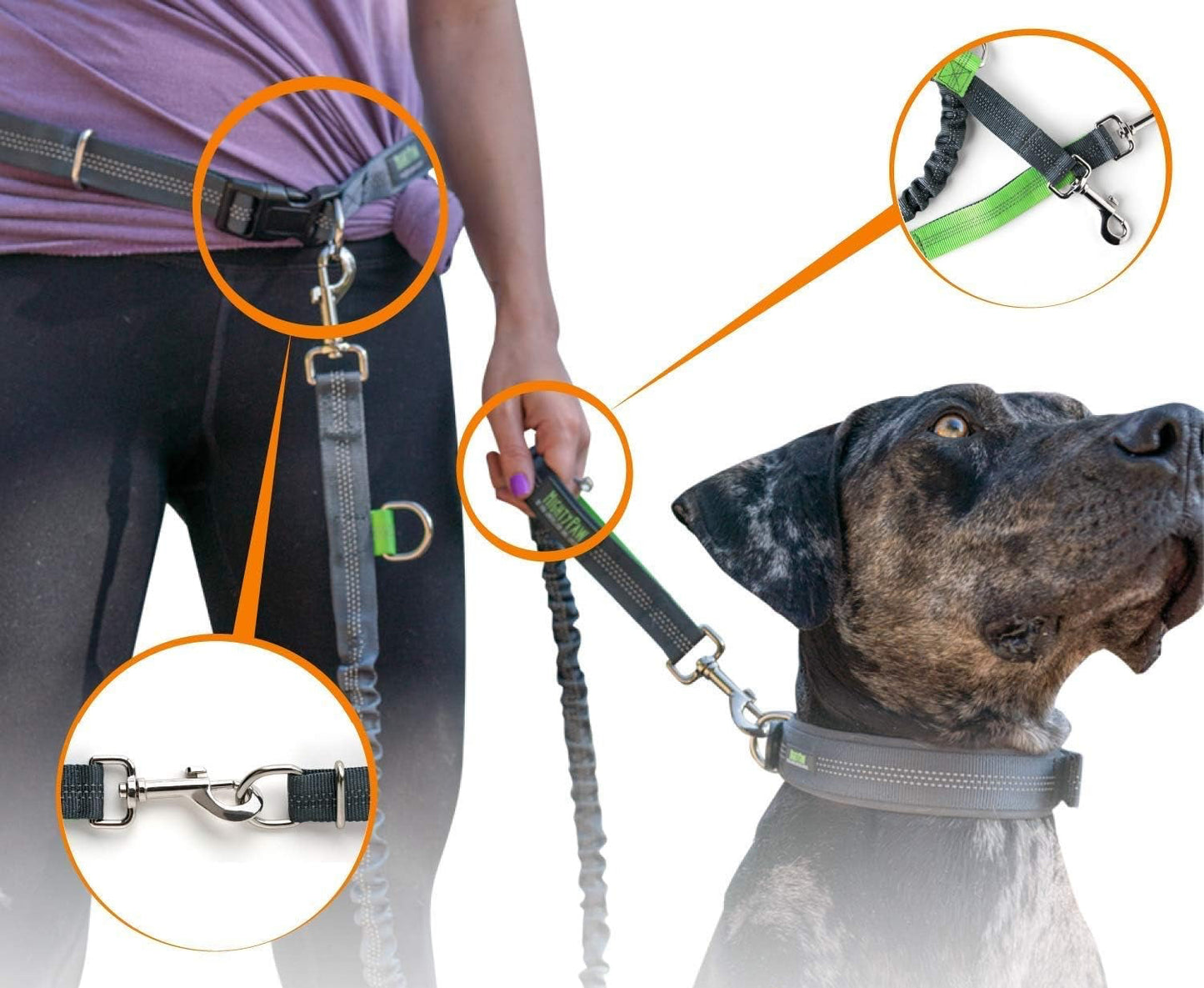 Hands Free Dog Leash | Bungee Waist Leash for Dog Walking. Pet Running Hands Free Tether for Large, Medium & Small Breeds. Pet Waist Belt (36" - 48") up to 150 Lbs - Gray