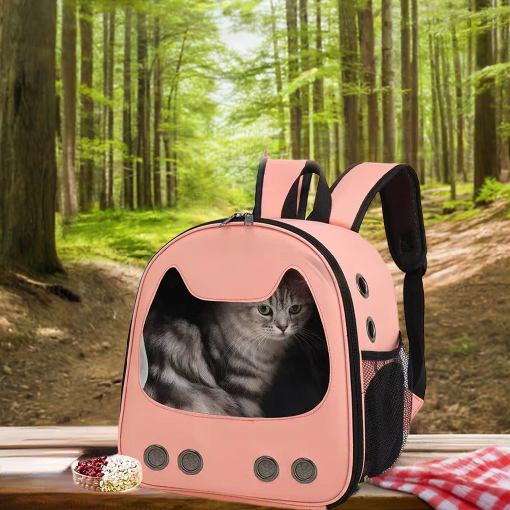 Mochila portabebés con diseño de gato (4 colores)