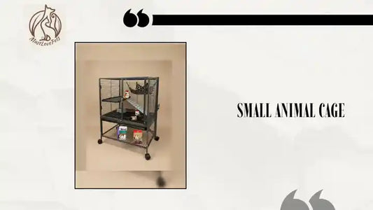 Small Animal Cage by@Outfy