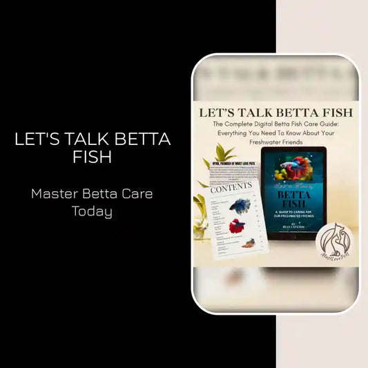 Let's Talk Betta Fish by@Outfy