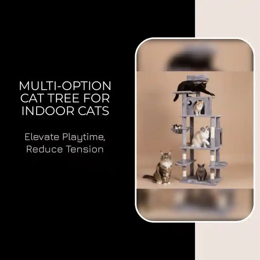Multi-Option Cat Tree For Indoor Cats by@Outfy