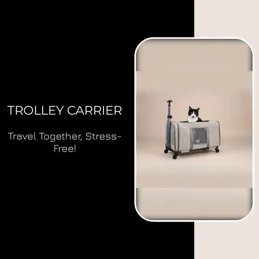 Trolley Carrier by@Outfy