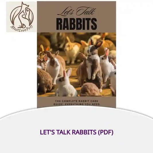 Let's Talk Rabbits (PDF) by@Outfy