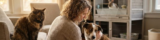 Pet parent with dog and cat in a calm living room, illustrating subtle pet stress signals and communication.
