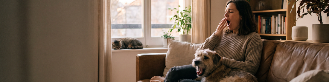 A pet parent yawns on the couch while their dog yawns too in a cozy, warm living room.
