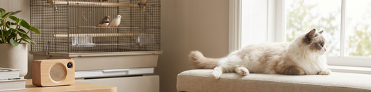 Calm multi-pet living room with a relaxed dog, cat on a window perch, and a bird cage in the background near a small speaker.